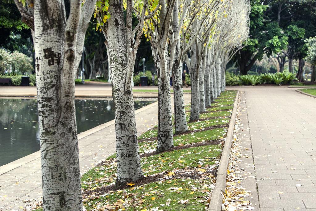 Oaks Sydney Hyde Park Suites Luaran gambar